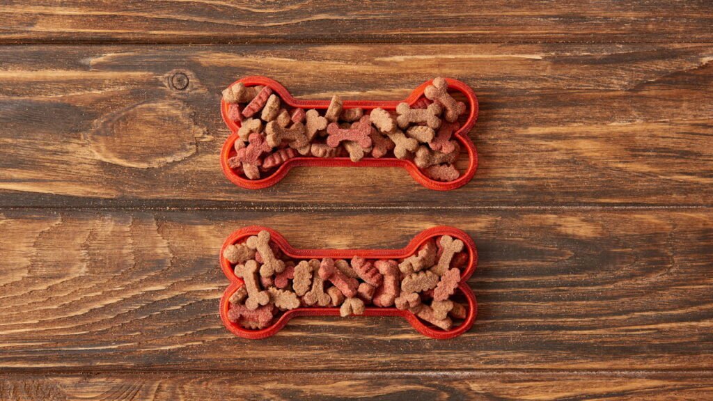 Por que cachorro e gato não podem dividir as rações?