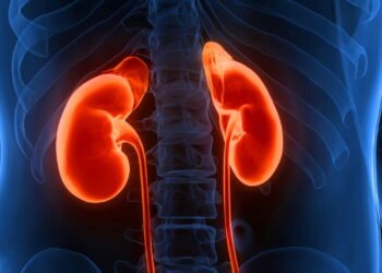 Nutricionistas revelam o alimento número 1 para uma melhor saúde renal