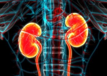 Coisas que você talvez não saiba sobre doença renal