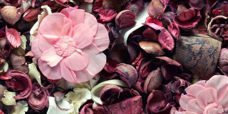 O que significa encontrar uma rosa seca no seu jardim, segundo o Feng Shui