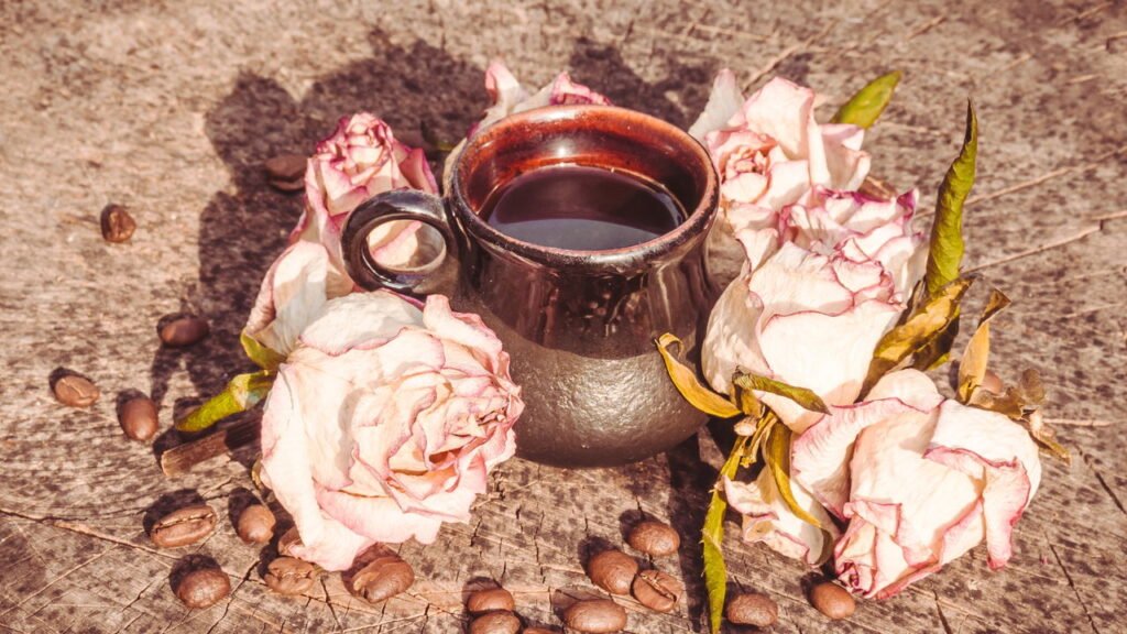 O que significa encontrar uma rosa seca no seu jardim, segundo o Feng Shui