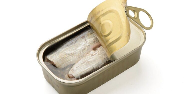 Sardinha - Créditos: depositphotos.com / mastersky