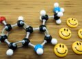 O poder da serotonina e seus efeitos na felicidade e mente