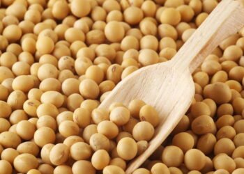 Os alimentos ricos em proteína que ajudam a secar a barriga