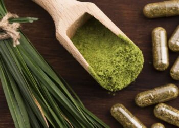 Qual é o alimento natural mais completo da natureza?