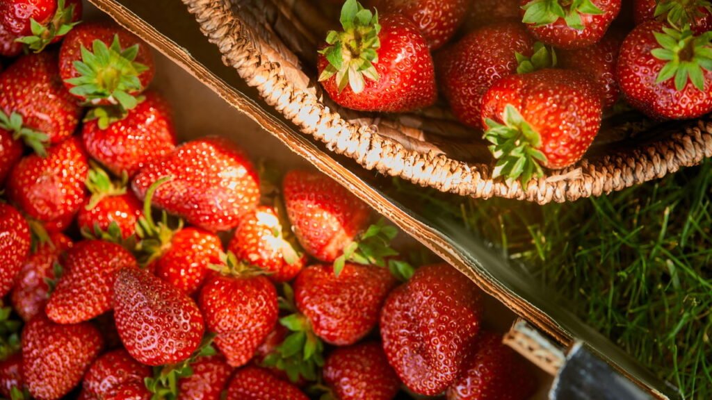 Cultivar morangos em vasos deixa sua casa mais bonita e perfumada