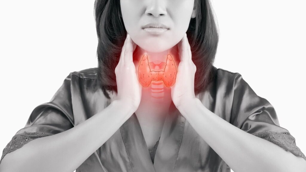 O que acontece no seu corpo quando você consome castanha-do-pará?