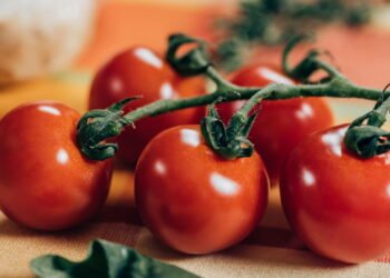 Os tomates permanecerão firmes e frescos por dias com um detalhe simples que você provavelmente não conhece