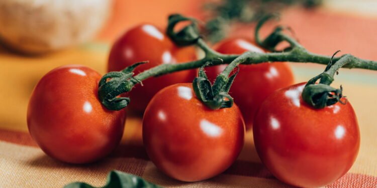 Os tomates permanecerão firmes e frescos por dias com um detalhe simples que você provavelmente não conhece