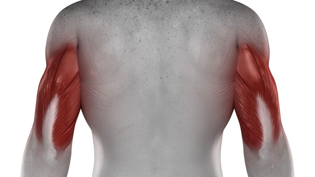 3 exercícios eficazes para fortalecer os tríceps e deixar os braços mais firmes