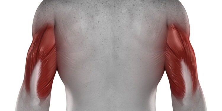 Os 5 melhores exercícios para fortalecer o tríceps sem sair de casa