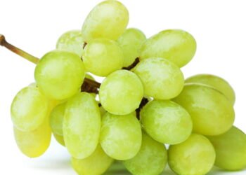 Poucas pessoas sabem: qual é a diferença entre uvas verdes e roxas?