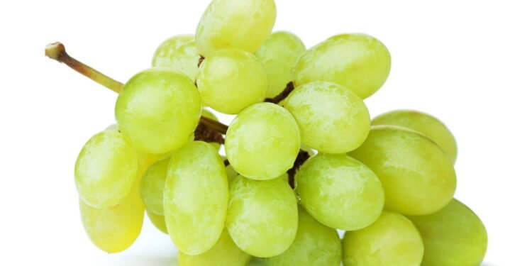 Poucas pessoas sabem: qual é a diferença entre uvas verdes e roxas?