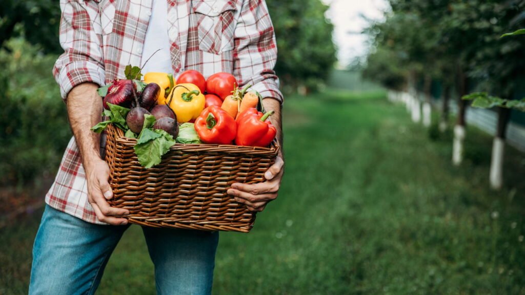Cientistas descobrem que comer este vegetal reduz significativamente o risco de câncer de cólon