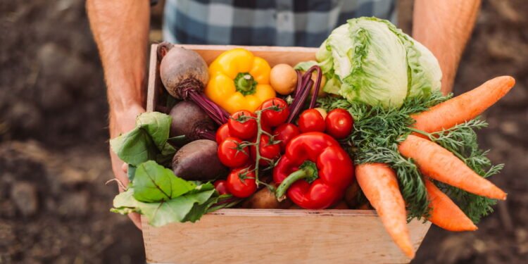 Esse tipo de vegetal é um grande aliado para evitar o câncer