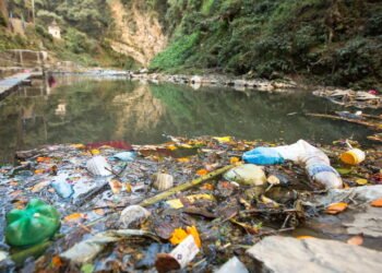 E se colocássemos um peixe em água com gás?