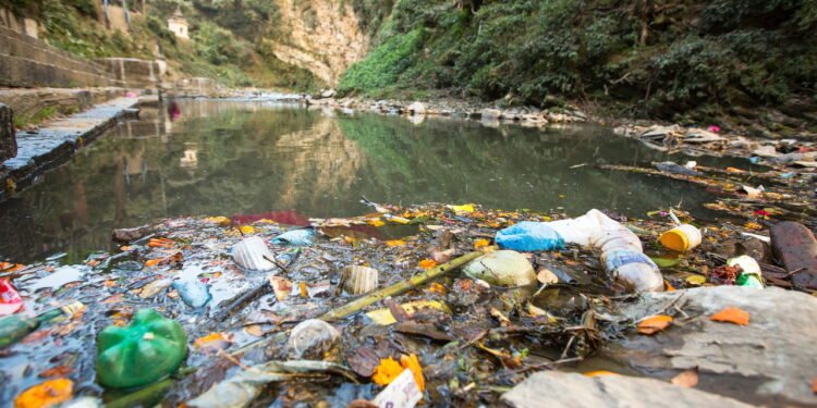 E se colocássemos um peixe em água com gás?