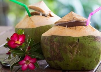 Água de coco previne pedra nos rins? Saiba
