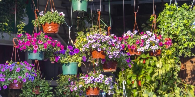 Apesar de sua origem, hoje em dia, ela enfeita muitos jardins ao redor do mundo - Créditos: depositphotos.com / firefox