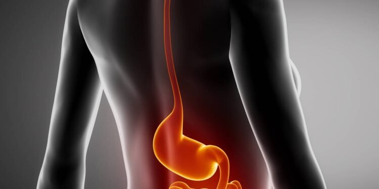 Cânceres Gastrointestinais - Créditos: depositphotos.com / CLIPAREA