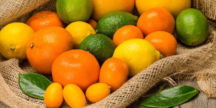 Frutas cítricas - Créditos: depositphotos.com / SergPoznanskiy