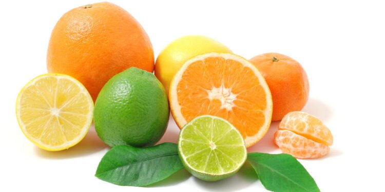 Frutas cítricas - Créditos: depositphotos.com / unverdorbenjr