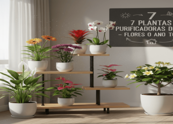 7 plantas com flor o ano inteiro que purificam o ar da sua casa: a arte de viver e respirar melhor