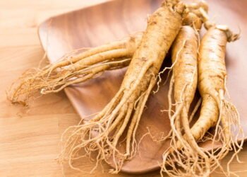 A planta que vai te dar disposição e diminuir o cansaço