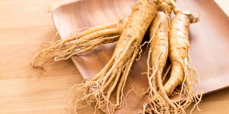 Ginseng - Créditos: depositphotos.com / leungchopan