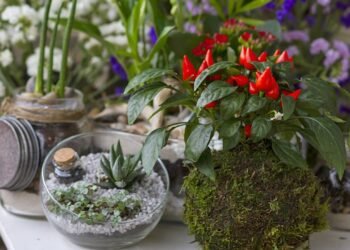 O Kokedama, uma técnica de origem japonesa, é uma forma encantadora e natural de cultivar plantas - Créditos: depositphotos.com / ondacaracola