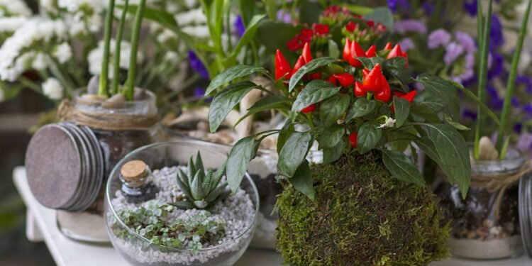 O Kokedama, uma técnica de origem japonesa, é uma forma encantadora e natural de cultivar plantas - Créditos: depositphotos.com / ondacaracola