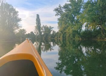 A atividade relaxante que virou febre entre os amantes da natureza