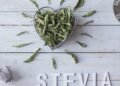 O poder da stevia surpreende quem busca vida saudável