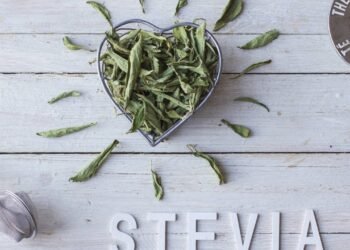 O poder da stevia surpreende quem busca vida saudável