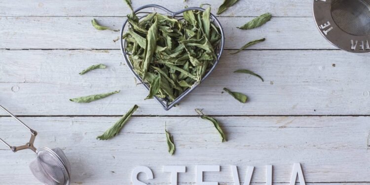 Stevia - Créditos: depositphotos.com / paloma.palomadelosrios@gmail.com