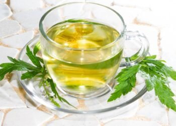 Essa erva antiga está ganhando destaque por seus efeitos calmantes