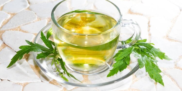 Essa erva antiga está ganhando destaque por seus efeitos calmantes