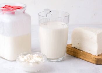 Esse tipo de alimento pode transformar sua digestão rapidamente