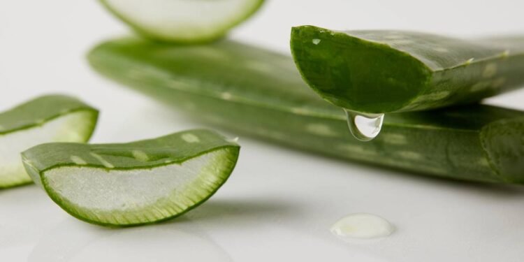 O efeito desse suco natural na sua digestão e saúde intestinal