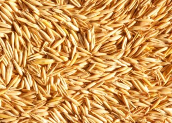 Alimento barato que ajuda a reduzir colesterol naturalmente