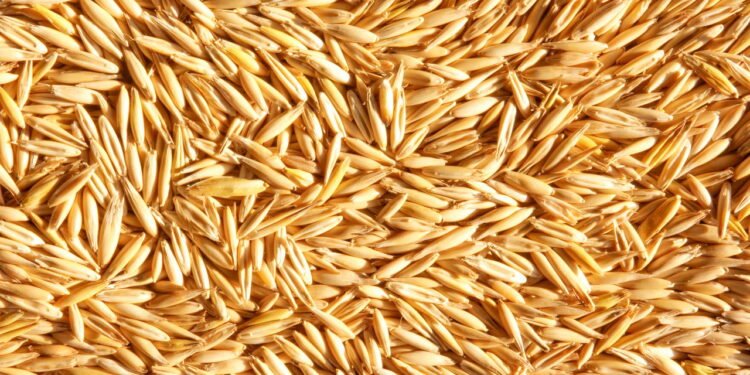 Alimento barato que ajuda a reduzir colesterol ruim