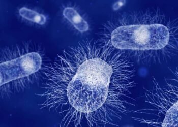 Cientistas descobrem que as bactérias intestinais se comunicam diretamente com os neurônios, abrindo uma nova era nas terapias cerebrais.