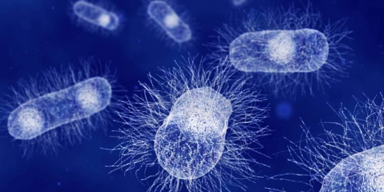 Cientistas descobrem que as bactérias intestinais se comunicam diretamente com os neurônios, abrindo uma nova era nas terapias cerebrais.