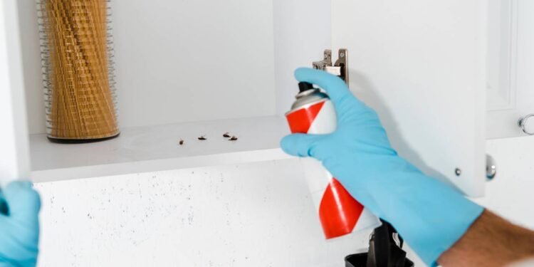 Os 5 lugares onde as baratas se reúnem e fazem ninhos em sua casa