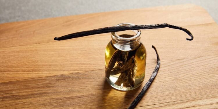 Você pode cultivar baunilha em casa e colher vagens aromáticas mesmo fora do clima ideal