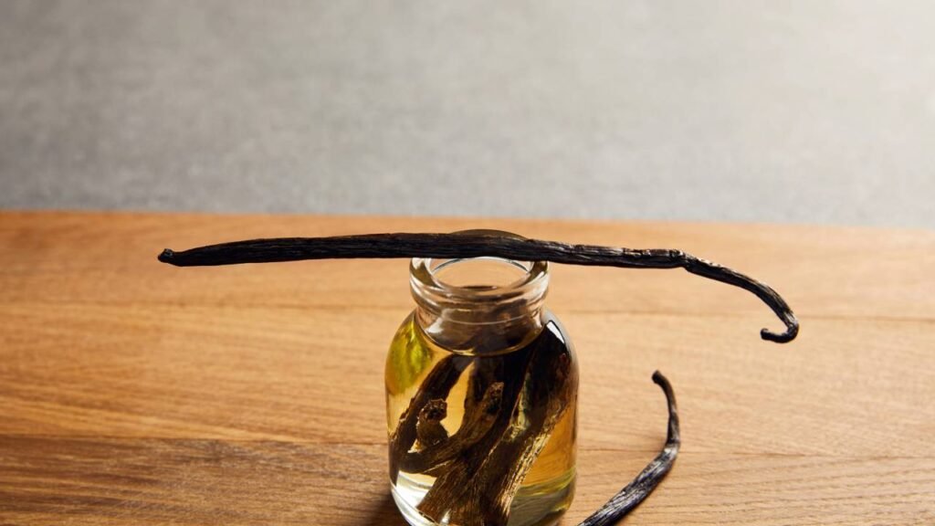 Você pode cultivar baunilha em casa e colher vagens aromáticas mesmo fora do clima ideal