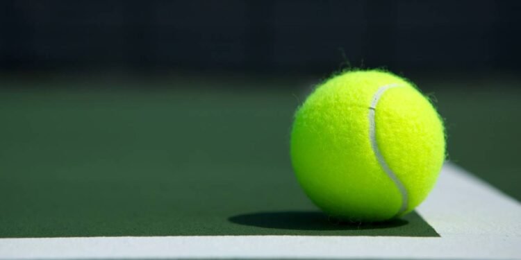 Descubra por que motoristas colocam bolas de tênis na barra de reboque