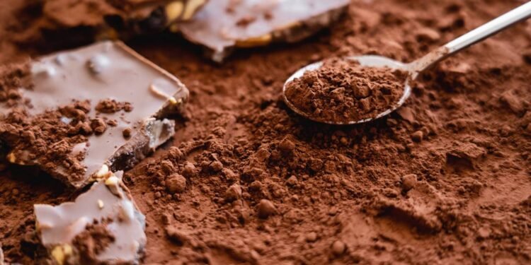 Como armazenar o cacau em pó para que não tenha vermes