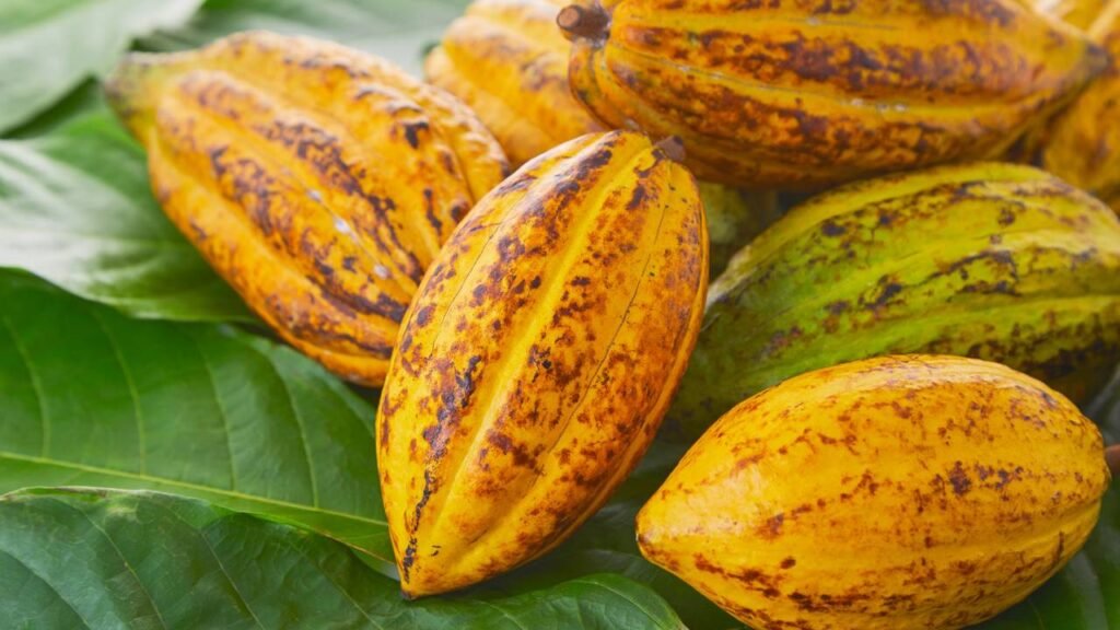 Este conhecido produto é uma doce arma contra o envelhecimento