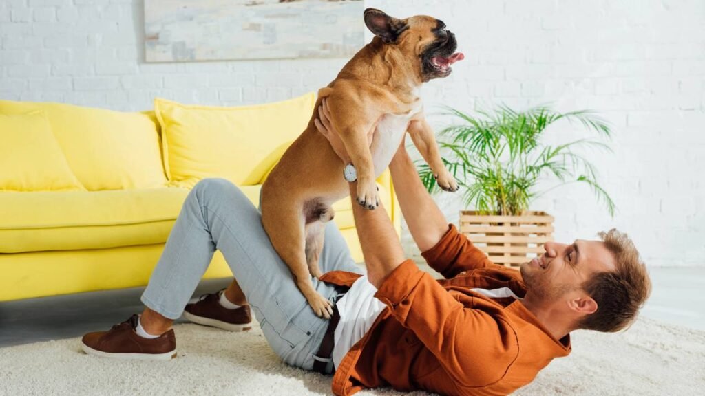 Quando seu cachorro está muito ativo, não significa que ele está feliz